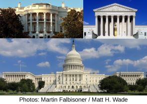 The Three Unequal Branches 295p